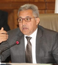 أحمد جمال حافظ السجيني