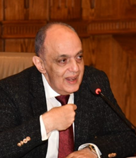 محمد كمال على مرعى