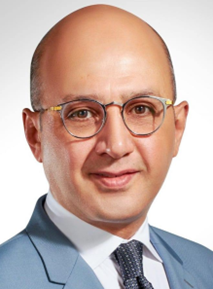 هشام حسين محمد حسن