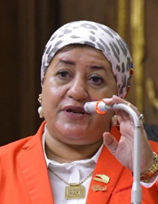 النائبة رحاب عبدالرحيم إسماعيل الغول