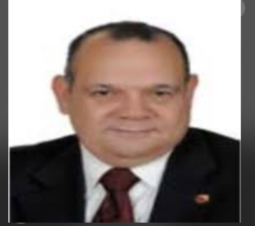 النائب محمد ماهر حامد محمد خليل