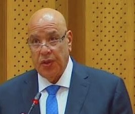 النائب على فهمي إسماعيل بدوي