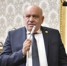 النائب سيد حنفي طه محمد