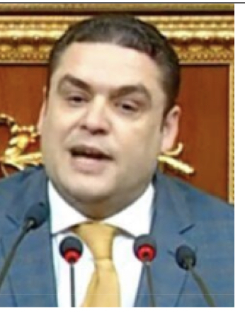 النائب حسام محمد محمود العمدة