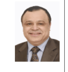 النائب حسام محمد اسماعيل الصيرفي