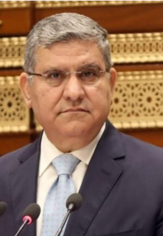 حاتم علوي السيد المليجي